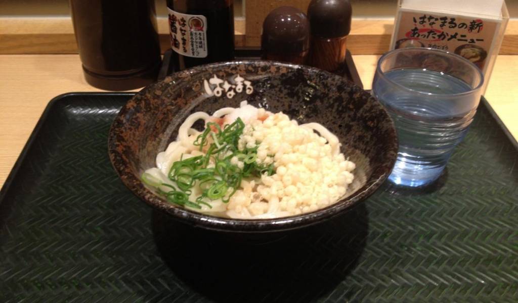 讃岐烏冬 日式烏龍麵