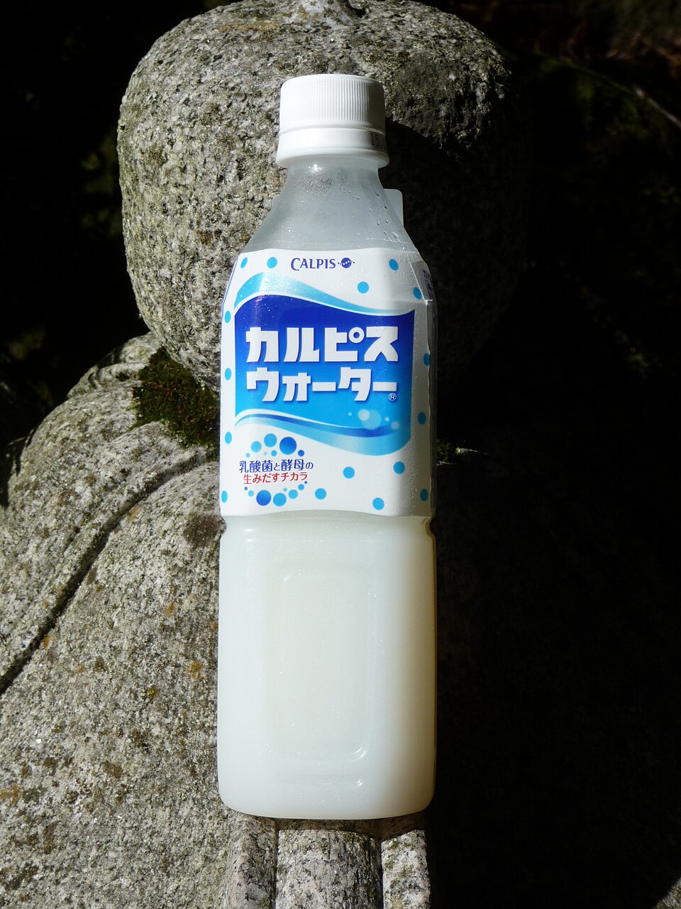日本代購 乳酪 香港