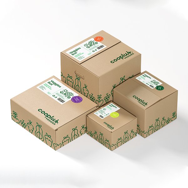 日本代購易碎食品包裝與國際運送